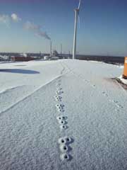 011230_wind35_fuss01.JPG